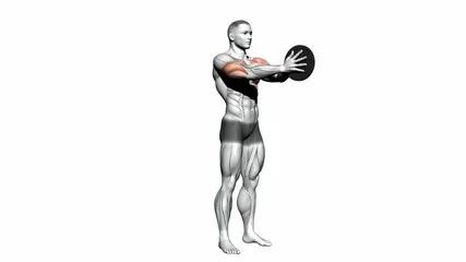 Exercise Database Chest17 Svend Press Jase Stuart The